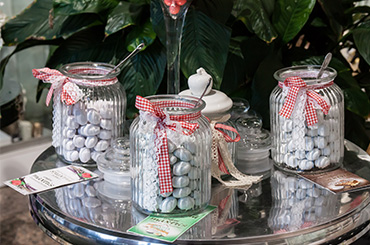 Servizi casa della sposa